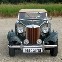 MG_TD_1953_gruen_IMG_5864