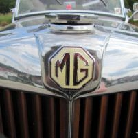 MG_TD_1953_gruen_IMG_5866