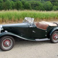MG_TD_1953_gruen_IMG_5877