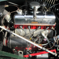 MG_TD_1953_gruen_IMG_5887