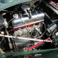 MG_TD_1953_gruen_IMG_5890