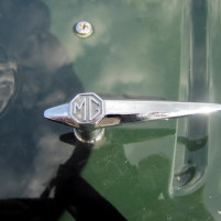 MG_TD_1953_gruen_IMG_5891
