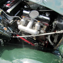 MG_TD_1953_gruen_IMG_5898