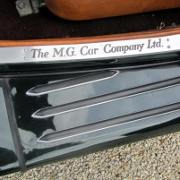 MG_TD_1953_gruen_IMG_5918