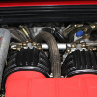 IMG_4939