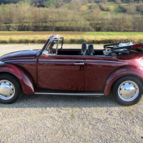 VW_Kaefer_1302_004_2947.JPG