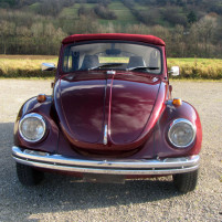 VW_Kaefer_1302_00_2943.JPG