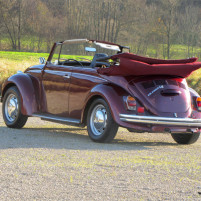 VW_Kaefer_1302_013_2957.JPG